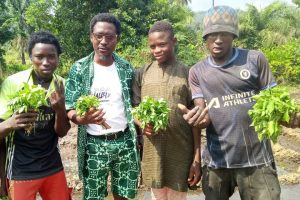 Farm Digital Marketing Services in Nigeria for Agribusiness Growth